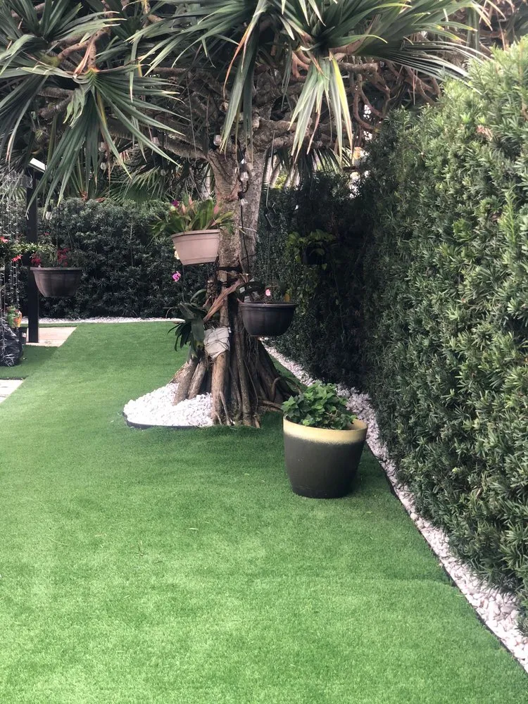 Top-rated residential landscaping for beautiful yards across Miami, FL - Pancho El Nica