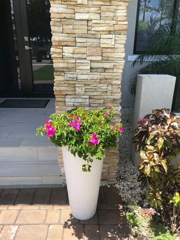 Professional lawn care service experts serving Miami, FL - Pancho El Nica