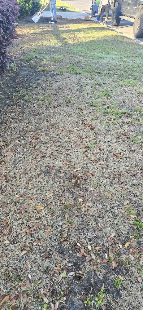 Top-rated garden landscaping in Orange Park, FL by Panchos Landscaping