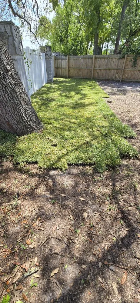 Professional outdoor landscaping near you across Orange Park, FL - Panchos Landscaping