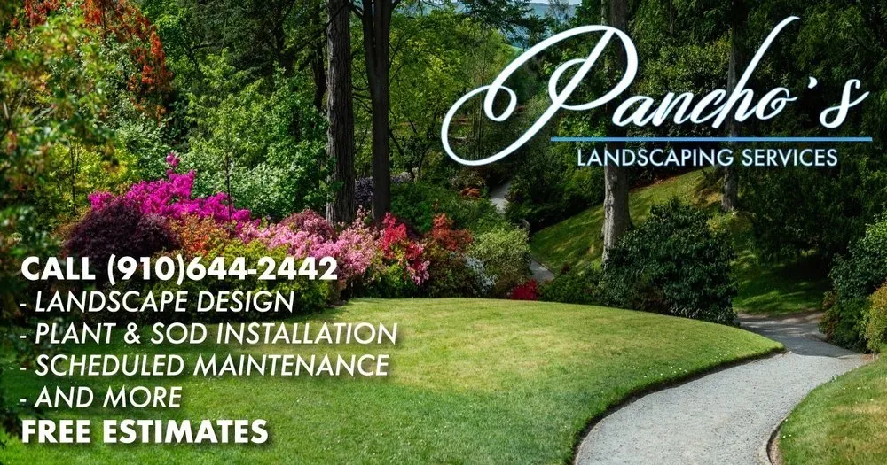 Affordable yard cleanup service in Fayetteville, NC by Pancho’s Landscaping Service