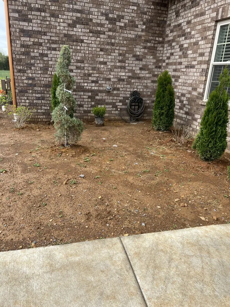 Affordable lawn mowing service in Shelbyville, TN - Pancho’S lawn care