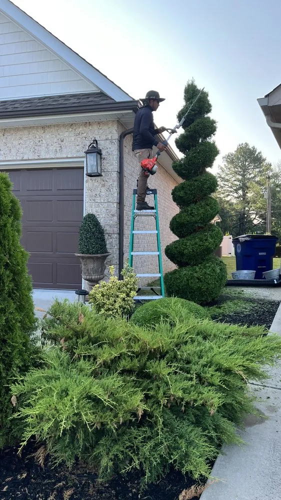 Reliable lawn care service experts serving Shelbyville, TN - Pancho’S lawn care