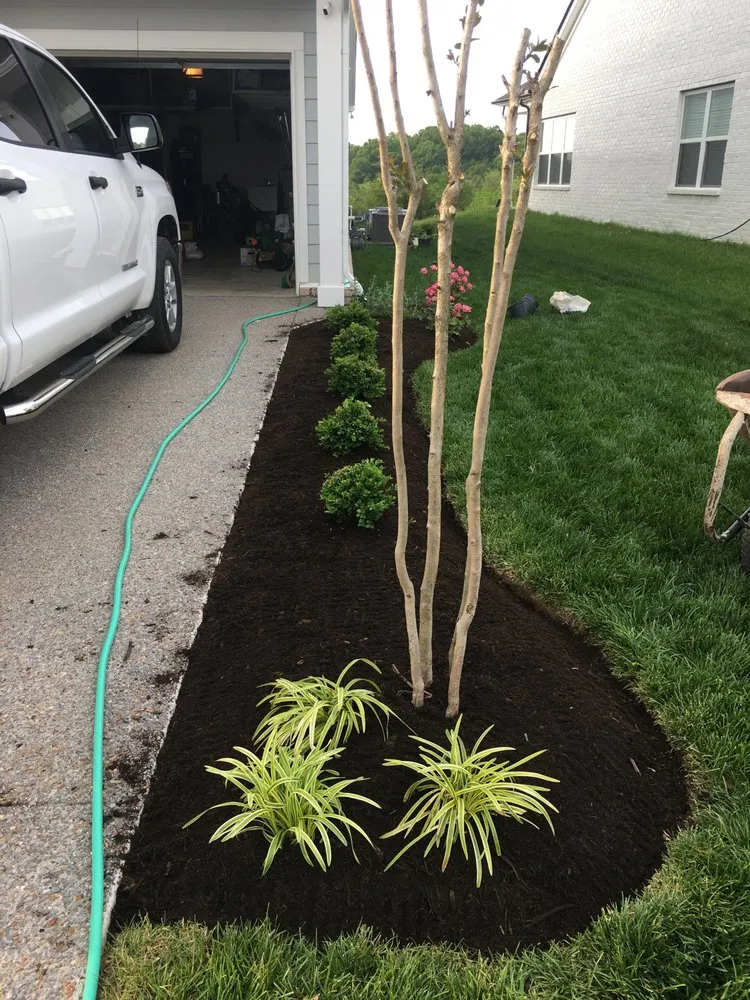 Top-rated lawn mowing service in Shelbyville, TN by Pancho’S lawn care