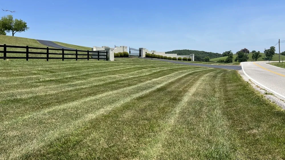 Custom yard maintenance in Shelbyville, TN by Pancho’S lawn care