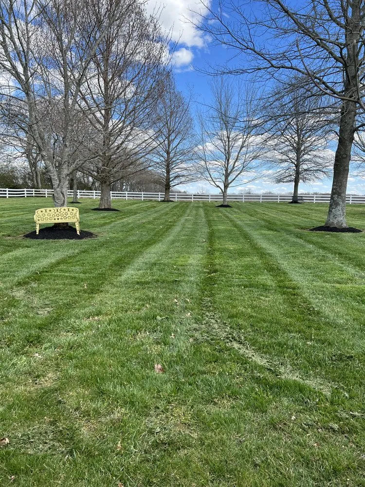 Reliable yard cleanup service for outdoor upgrades in Shelbyville, TN by Pancho’S lawn care