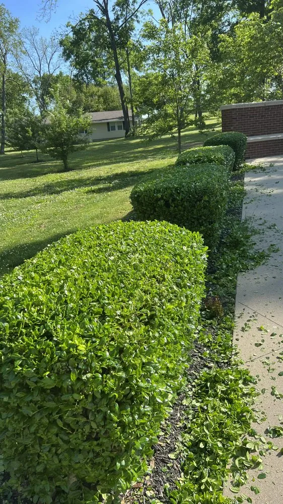 Professional landscape installation experts serving Shelbyville, TN - Pancho’S lawn care