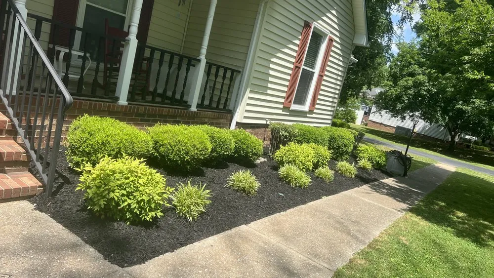 Top-rated lawn care service experts serving Shelbyville, TN - Pancho’S lawn care