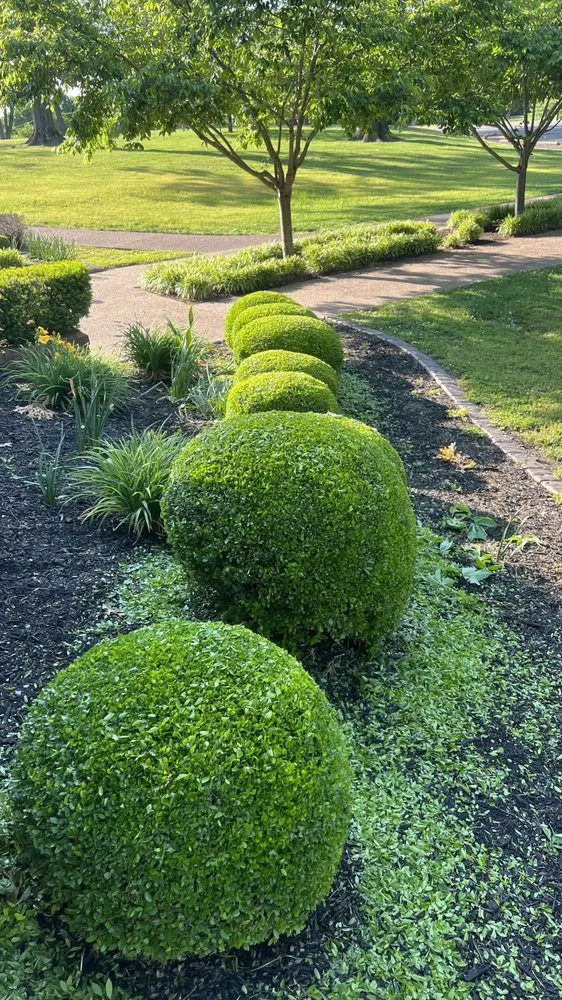 Affordable landscaping services near you in Shelbyville, TN by Pancho’S lawn care