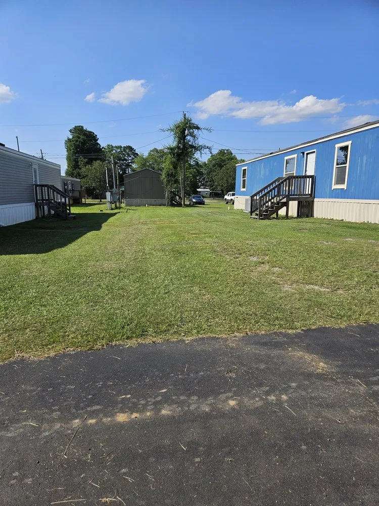 Top-rated yard cleanup service experts serving Dothan, AL - Panda Express Lawn Care