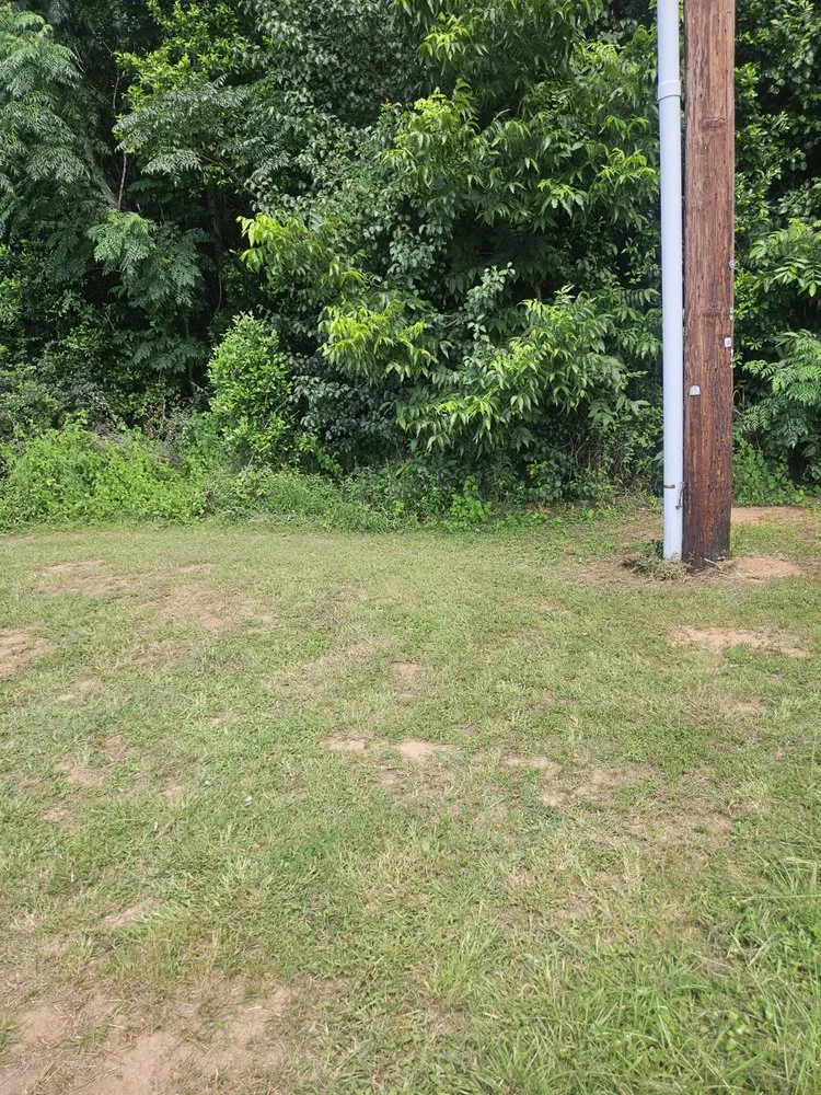 Local landscape design in Dothan, AL by Panda Express Lawn Care