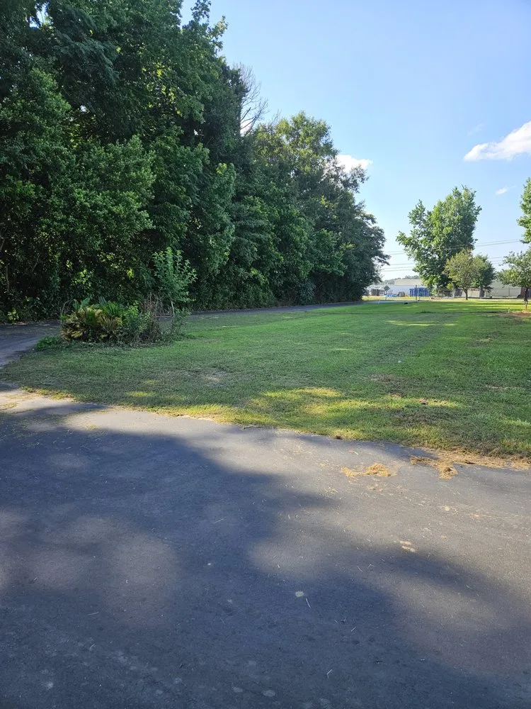 Trusted yard cleanup service experts serving Dothan, AL - Panda Express Lawn Care