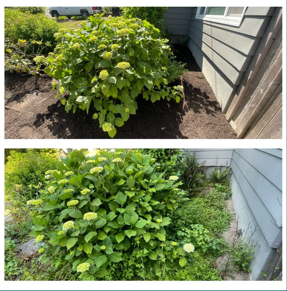 Trusted landscape design with custom design across Everett, WA - Panda Landscaping