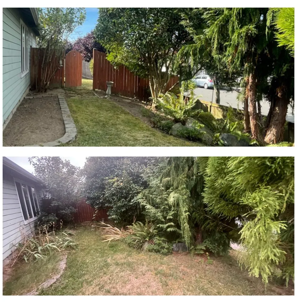 Local lawn mowing service for outdoor upgrades across Everett, WA - Panda Landscaping