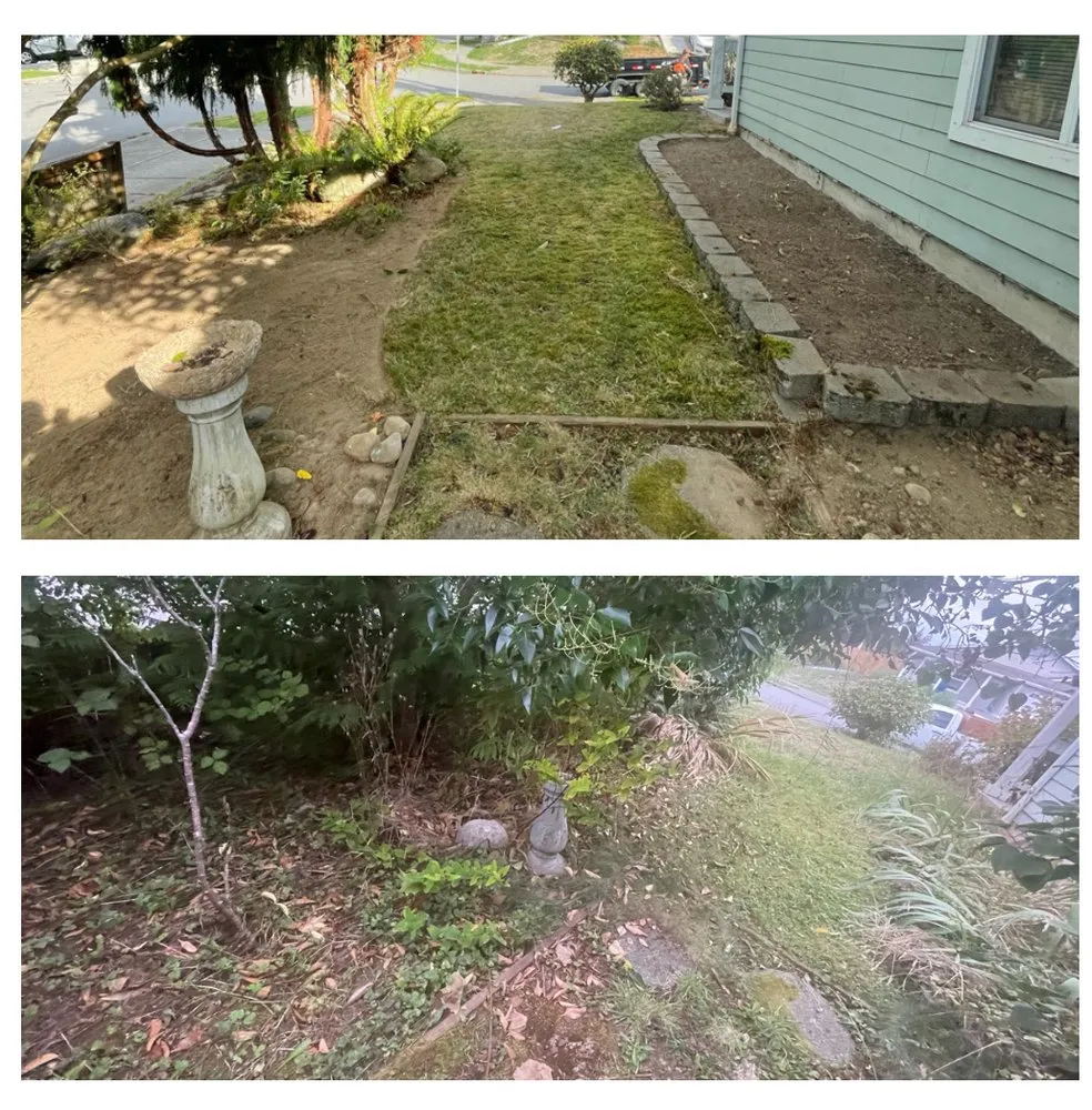 Reliable landscaping services in Everett, WA by Panda Landscaping