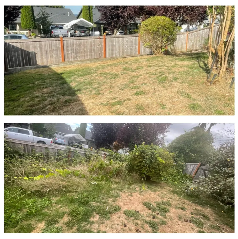 Reliable yard maintenance for outdoor upgrades in Everett, WA by Panda Landscaping