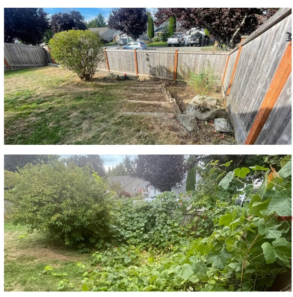 Trusted landscape design in Everett, WA by Panda Landscaping