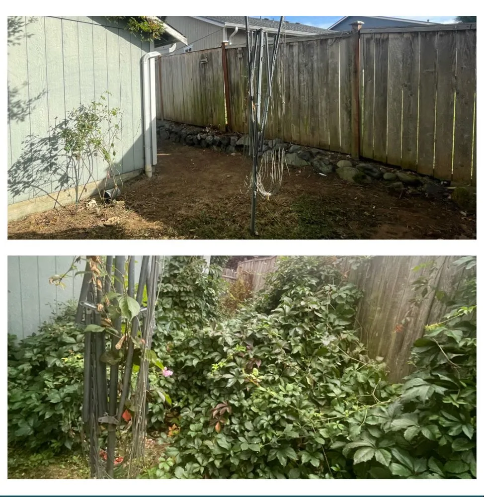 Trusted landscaping services in Everett, WA - Panda Landscaping