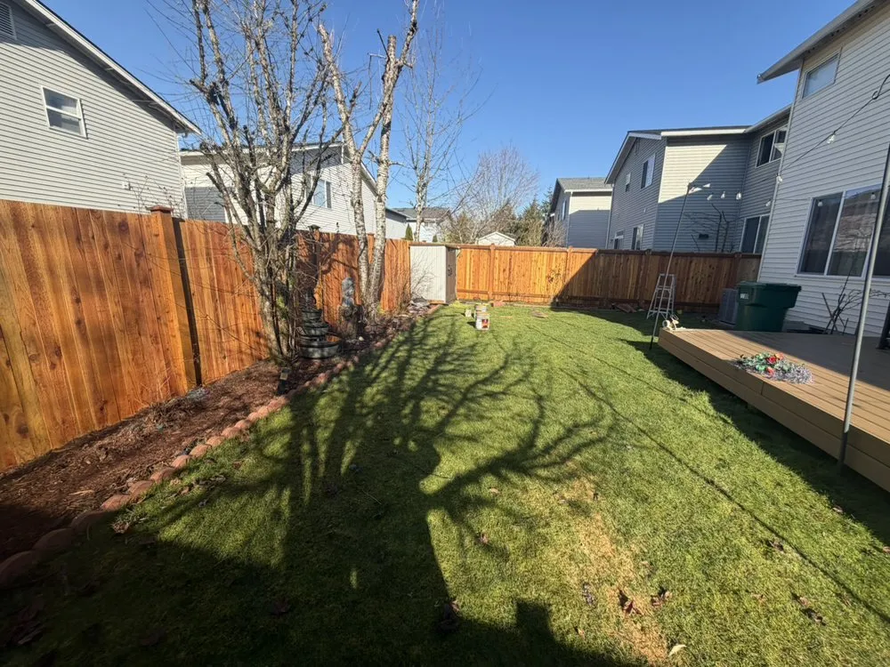 Reliable yard maintenance for year-round maintenance in Everett, WA by Panda Landscaping