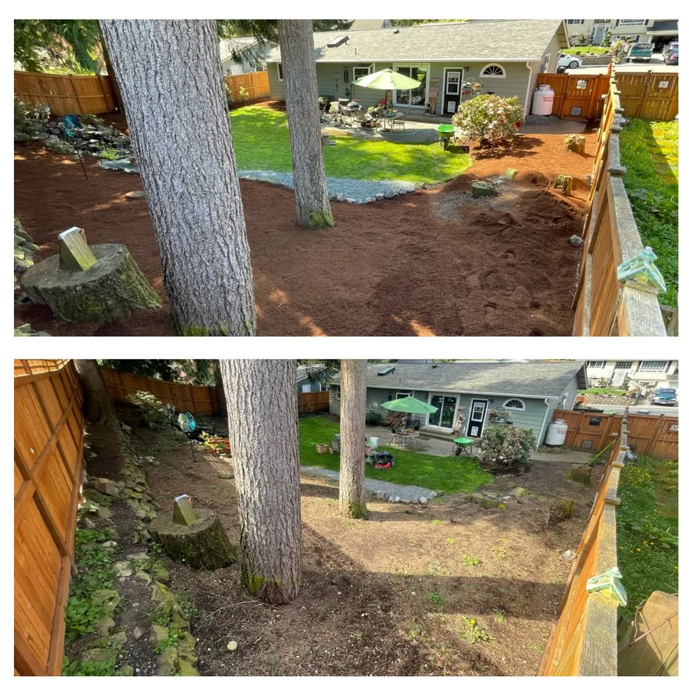 Professional lawn care service experts serving Everett, WA - Panda Landscaping