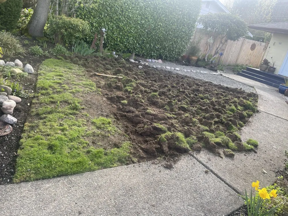 Professional outdoor landscaping for residential properties in Everett, WA by Panda Landscaping