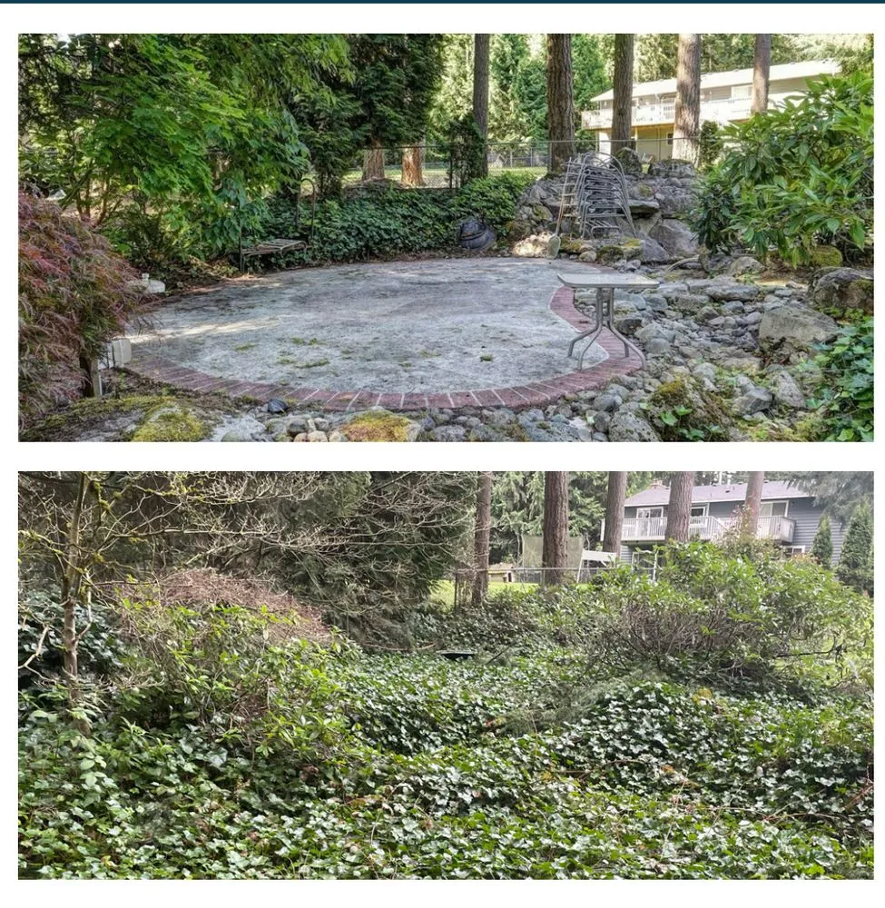 Top-rated yard maintenance for outdoor upgrades in Everett, WA by Panda Landscaping