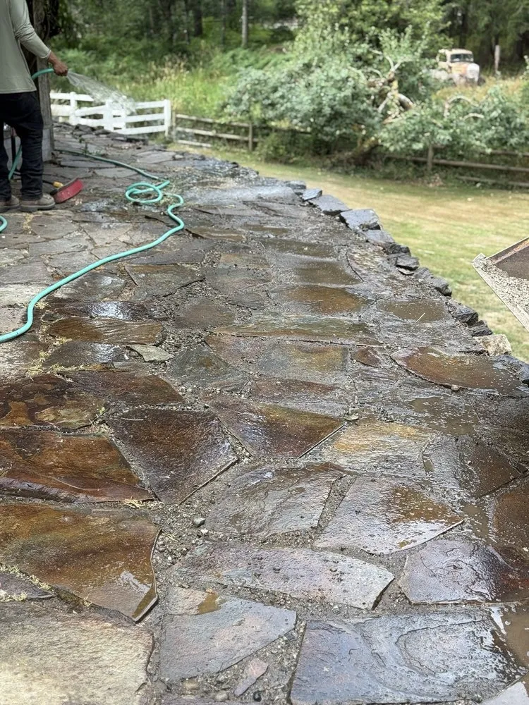 Professional lawn care service in Covington, WA - Panda Stylin