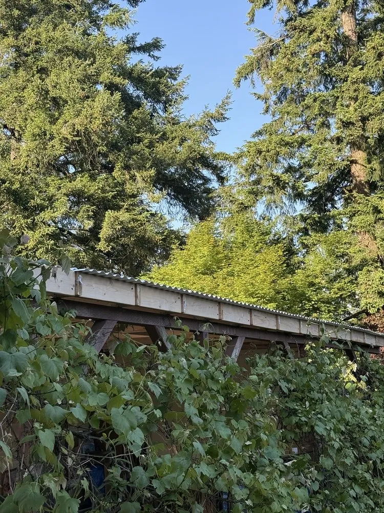 Top-rated yard cleanup service in Covington, WA - Panda Stylin