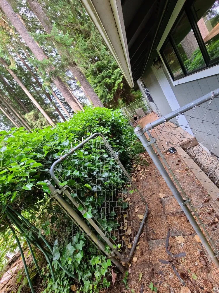 Top-rated lawn mowing service experts serving Covington, WA - Panda Stylin