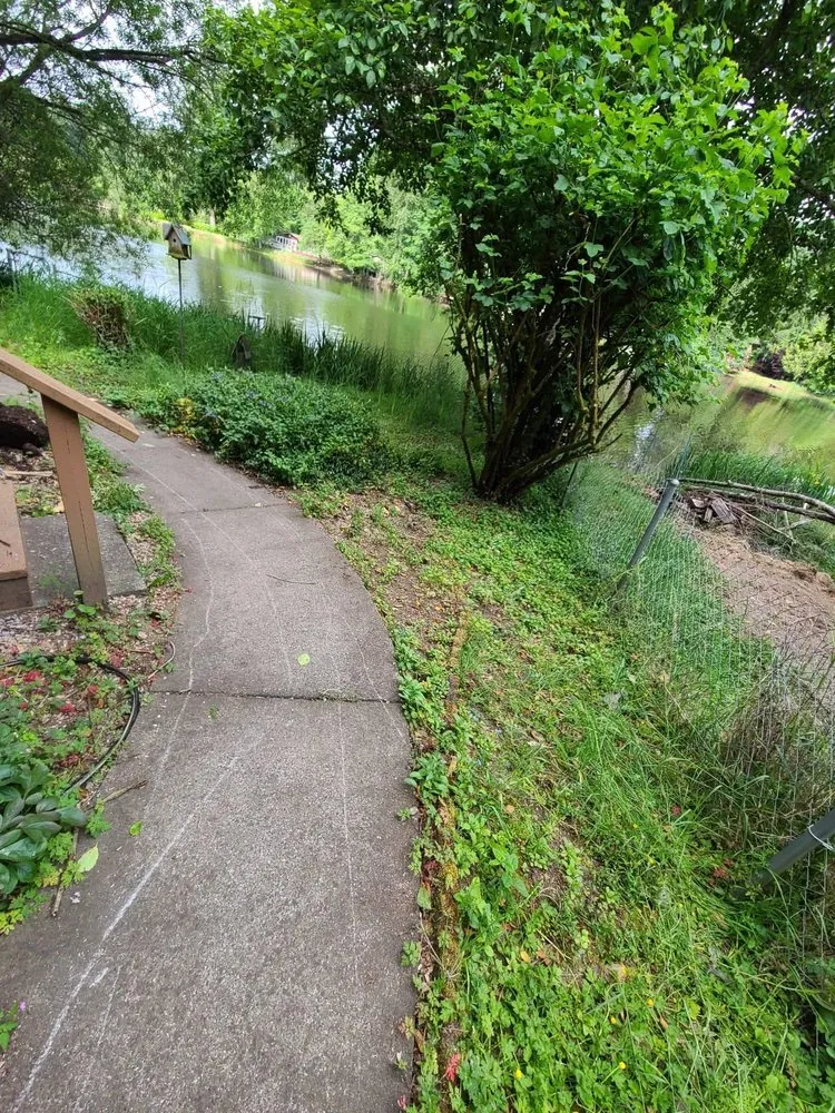 Trusted lawn mowing service for residential properties in Covington, WA by Panda Stylin