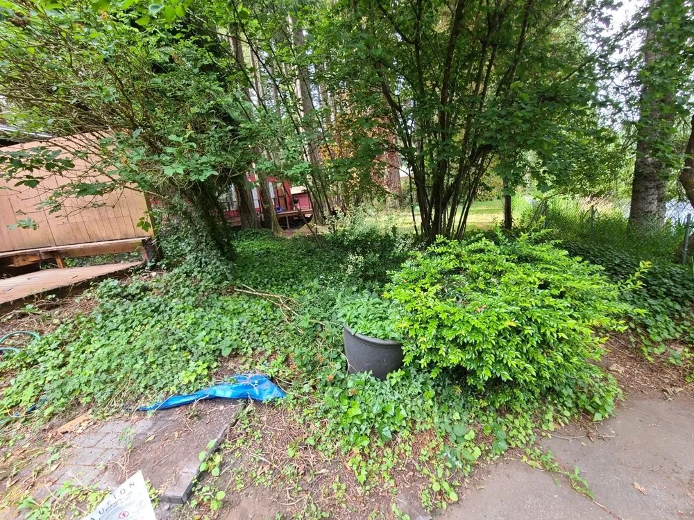 Reliable lawn care service experts serving Covington, WA - Panda Stylin