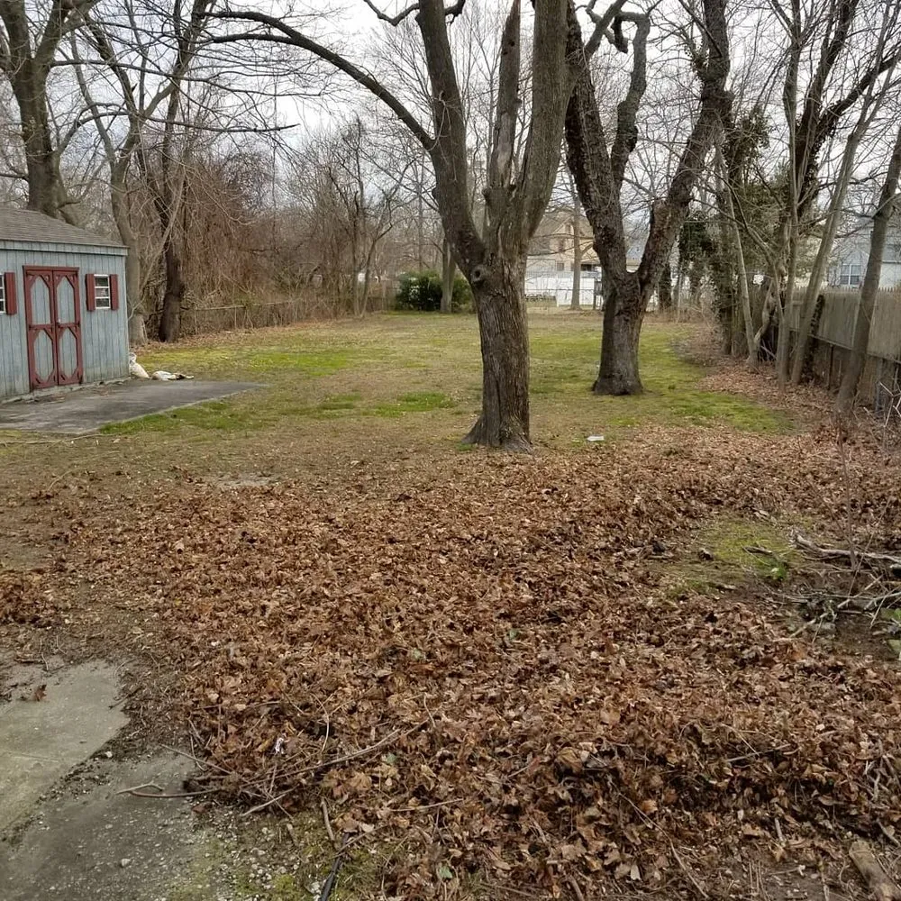 Affordable landscape design in Hamilton Township, NJ by Pandalawncare