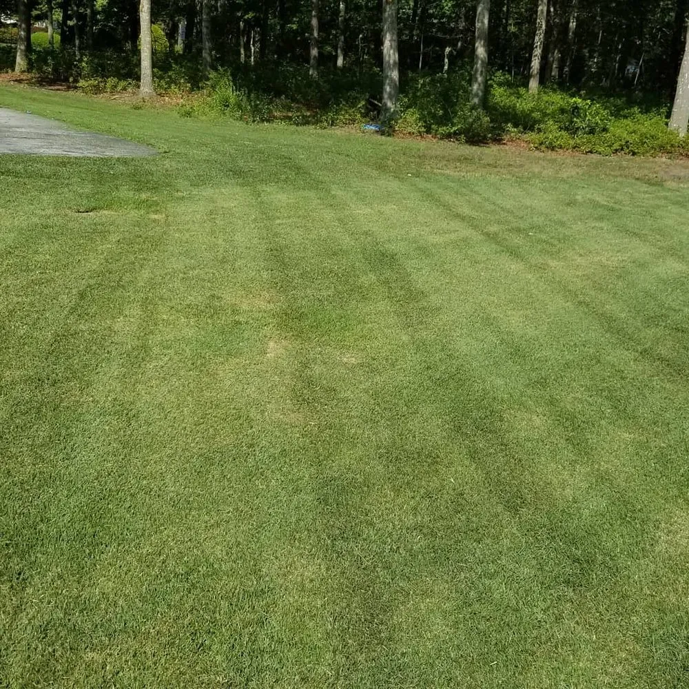 Expert garden landscaping near you in Hamilton Township, NJ by Pandalawncare