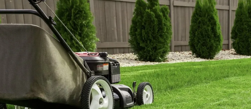 Custom landscape design in Rio Communities, NM by Panda’s