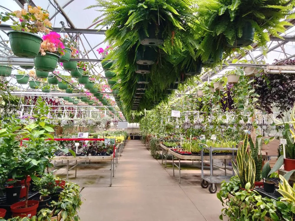 Top-rated lawn care service in Elyria, OH by Pandy's Garden Center