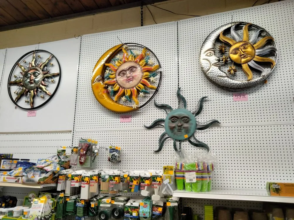 Local yard cleanup service for outdoor upgrades across Elyria, OH - Pandy's Garden Center