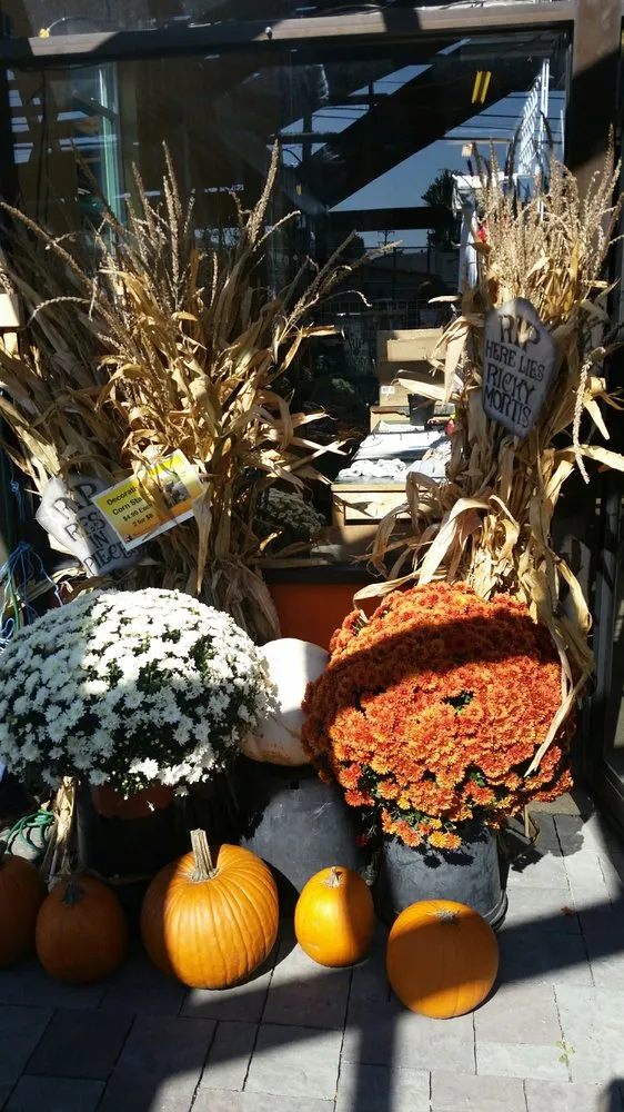 Custom residential landscaping for year-round maintenance in Elyria, OH by Pandy's Garden Center