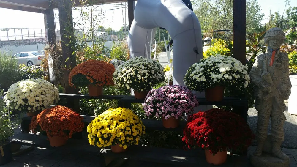 Reliable residential landscaping experts serving Elyria, OH - Pandy's Garden Center