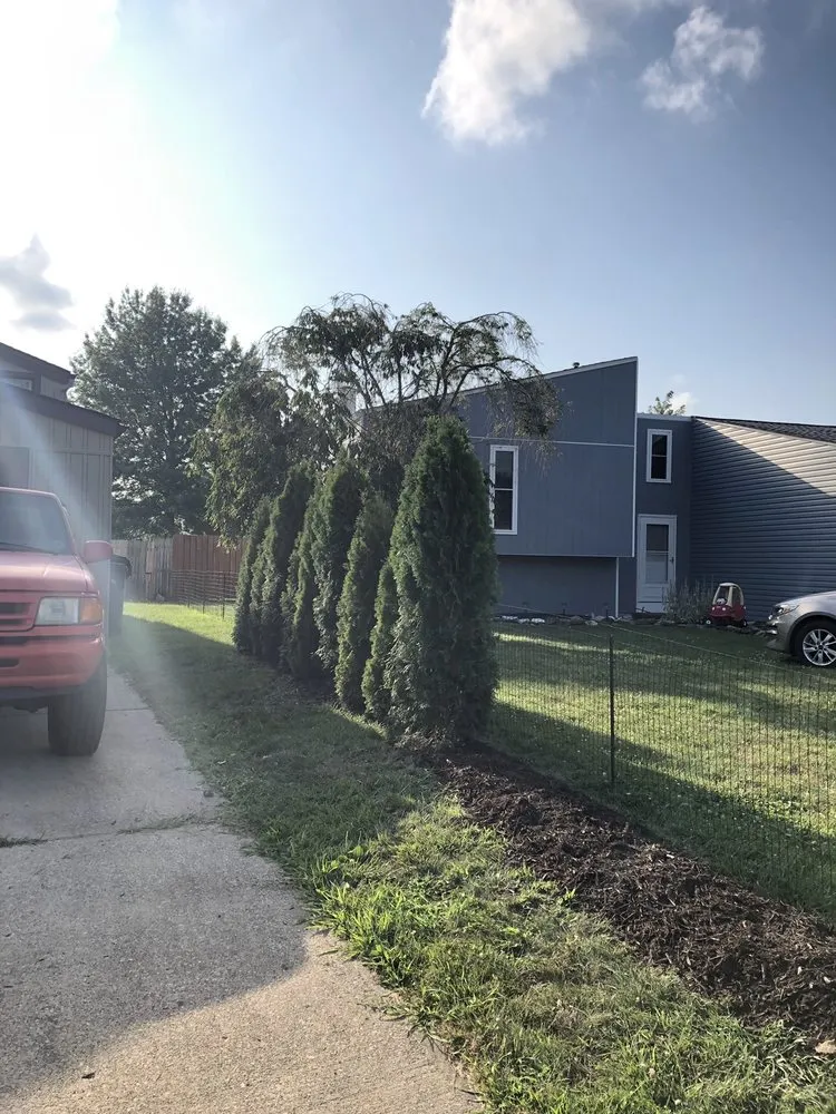 Top-rated lawn care service in Elyria, OH by Pandy's Garden Center