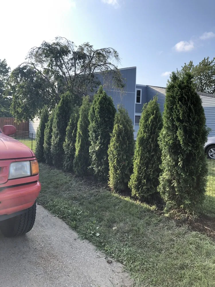 Trusted landscape installation with custom design in Elyria, OH by Pandy's Garden Center