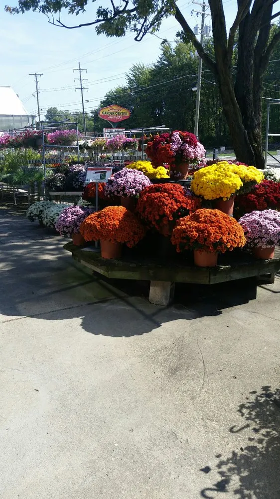 Local yard cleanup service for beautiful yards across Elyria, OH - Pandy's Garden Center