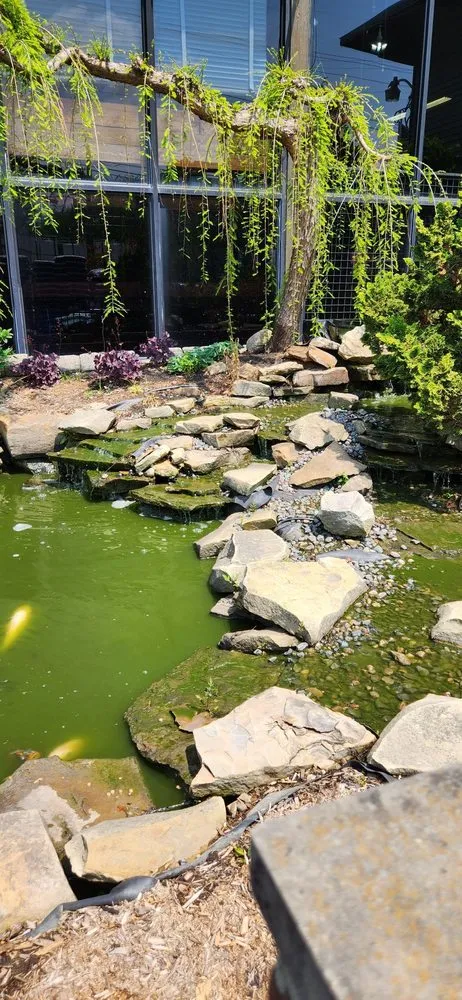 Top-rated yard cleanup service in Elyria, OH - Pandy's Garden Center