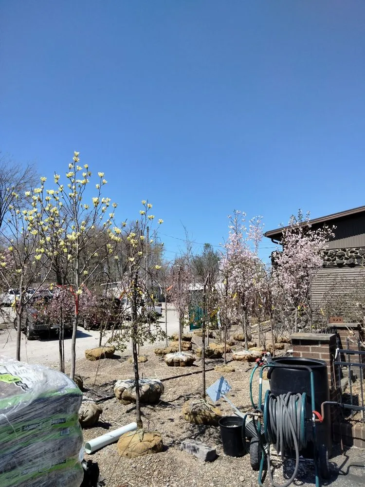 Expert residential landscaping for outdoor upgrades in Elyria, OH by Pandy's Garden Center