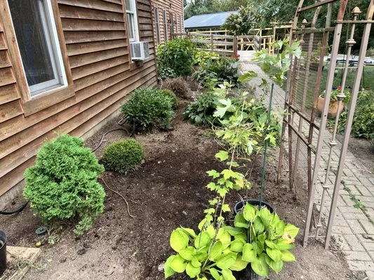 Pane Perfection Logo