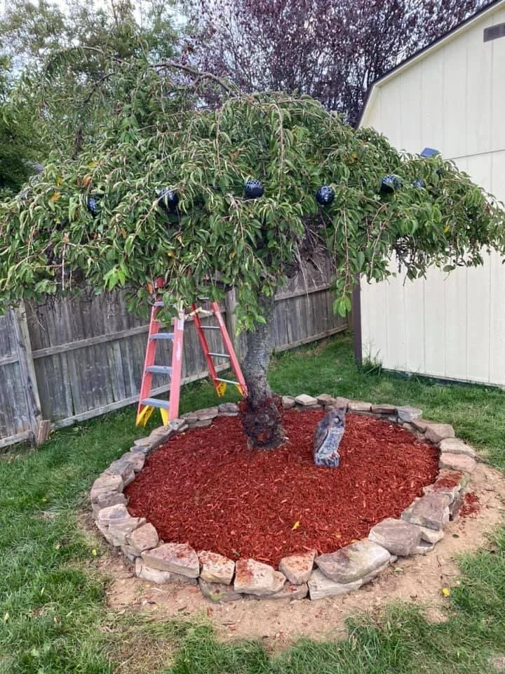 Trusted residential landscaping experts serving Lindenhurst, NY - Panetta’s Painting