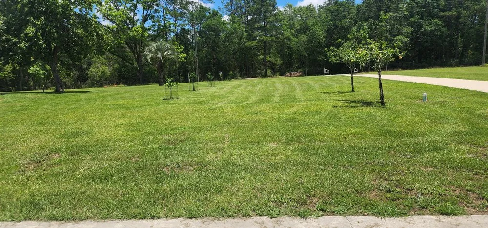 Top-rated outdoor landscaping for homes in Niceville, FL by Panhandle Affordable Cleaning