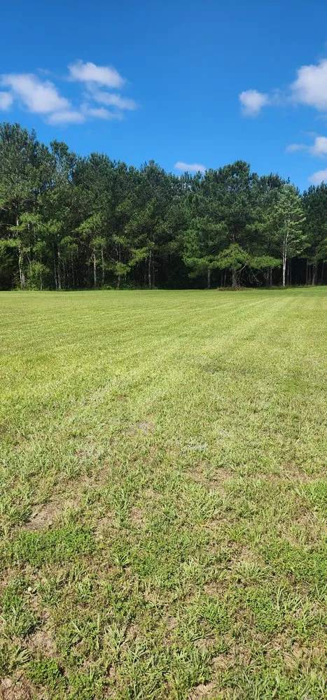 Affordable lawn care service in Niceville, FL by Panhandle Affordable Cleaning