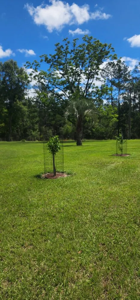 Professional landscape design in Niceville, FL by Panhandle Affordable Cleaning