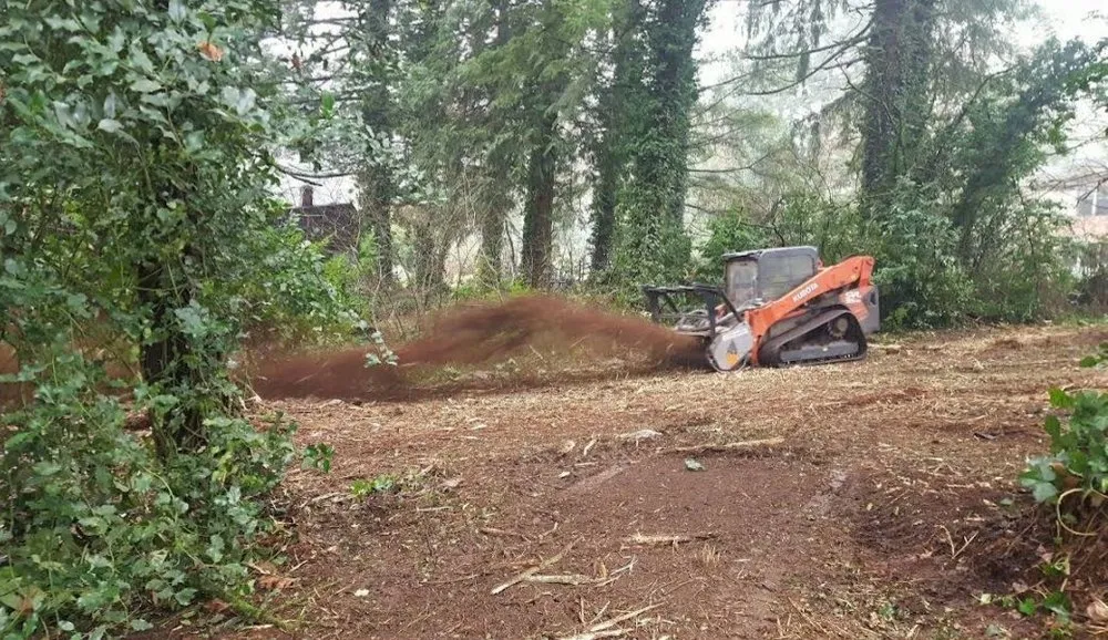 Professional lawn care service for year-round maintenance in Laclede, ID by Panhandle Excavating