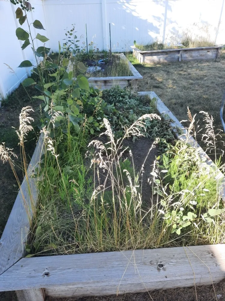 Expert landscape installation in Coeur d'Alene, ID by Panhandle Landworks